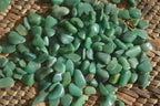 Polished Mini Craft Buddstone Tumble Stones - Sold per 500 g - From Swaziland - Toprock Gemstones and Minerals 