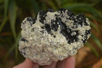 Natural Schorl Black Tourmaline Specimens x 2 From Erongo, Namibia