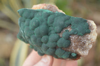 Natural Rare Ball Malachite On Drusy Quartz & Dolomite Specimens x 2 From Kambove, Congo - Toprock Gemstones and Minerals 