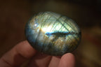 Polished  Flashy Labradorite Palm Stones  x 12 From Madagascar - Toprock Gemstones and Minerals 