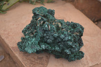 Natural Silky Malachite Specimen  x 1 From Kasompe, Congo - Toprock Gemstones and Minerals 
