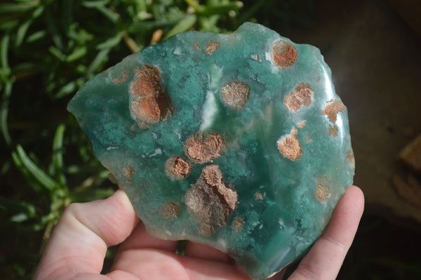 Polished One Side Polished Emerald Mtorolite Plates  x 4 From Zimbabwe - Toprock Gemstones and Minerals 