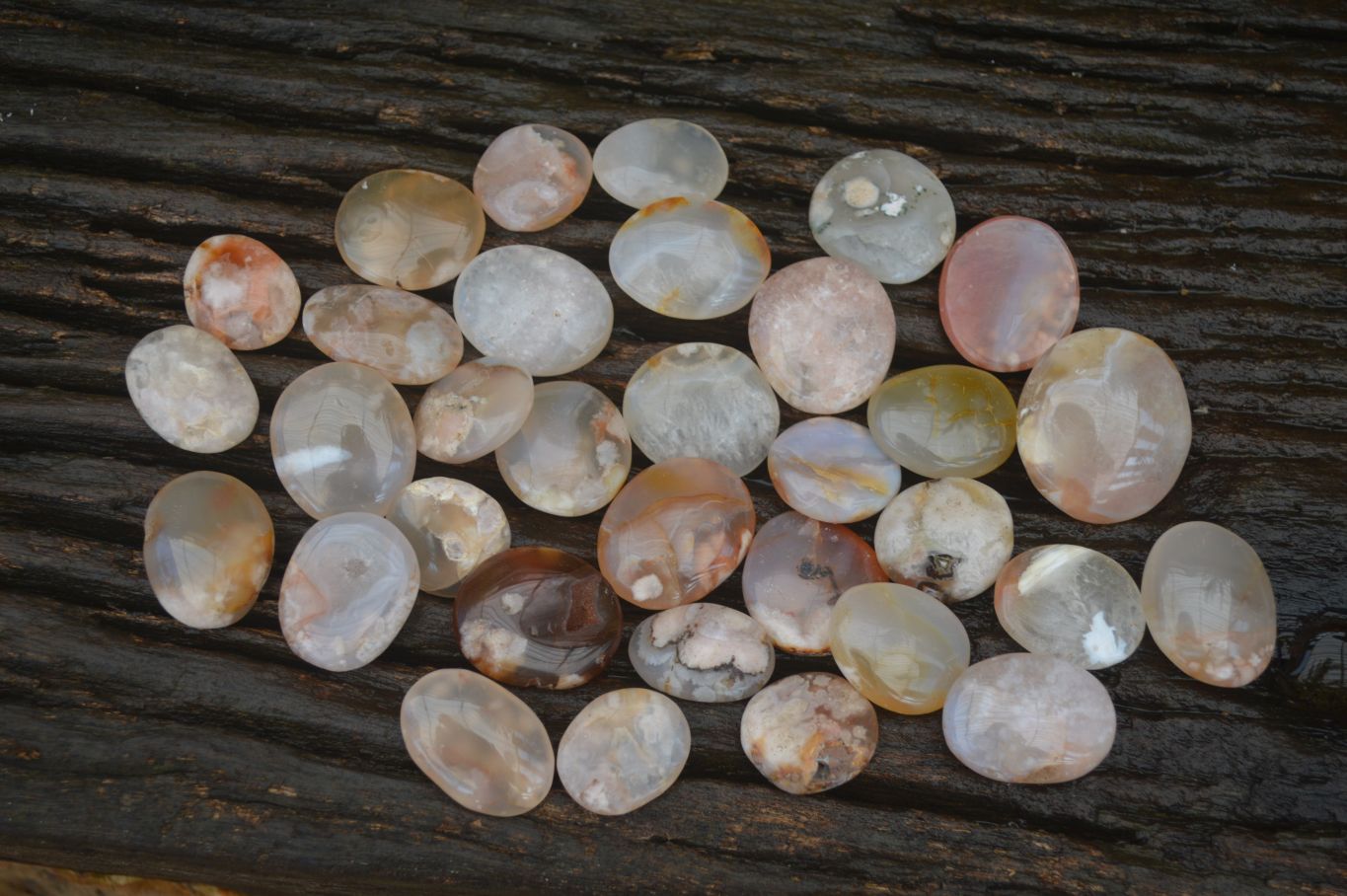 Polished Mini Ocean  Flower Agate Palm Stones  x 70 From Madagascar - Toprock Gemstones and Minerals 