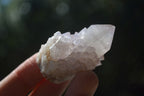 Natural Mixed Spirit Quartz Crystals  x 35 From Boekenhouthoek, South Africa - Toprock Gemstones and Minerals 