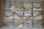 Natural Blue Lace Agate Geode Specimens  x 12 From Malawi - TopRock