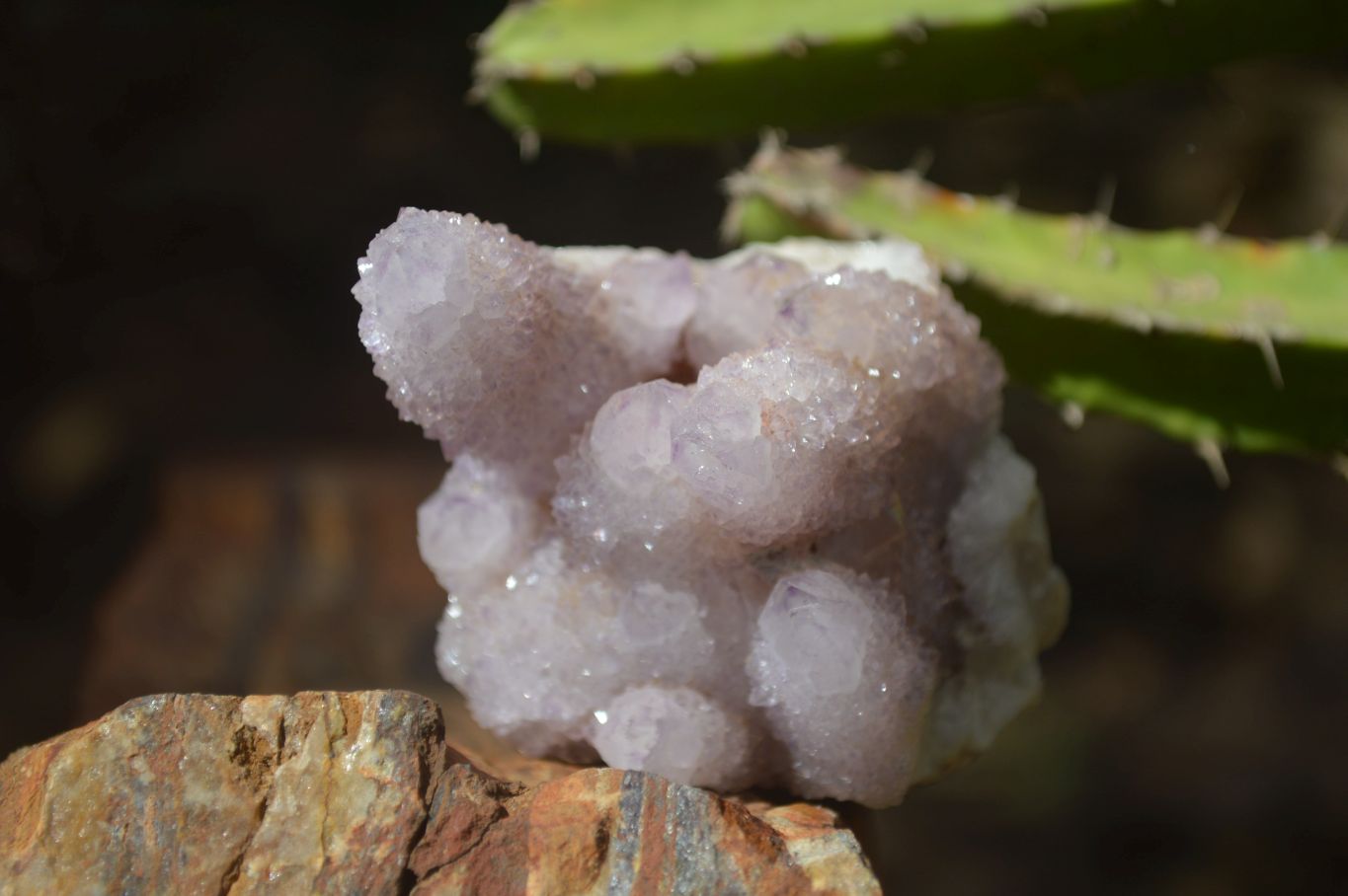 Natural Mixed Spirit Amethyst Quartz Clusters  x 6 From Boekenhouthoek, South Africa - Toprock Gemstones and Minerals 