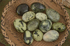 Polished Spotted Leopard Stone Gallets  x 12 From Zimbabwe - Toprock Gemstones and Minerals 