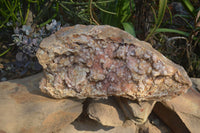 Natural Extra Large Hematoid Spirit Quartz Crystal Plate Specimen x 1 From Boekenhouthoek, South Africa - Toprock Gemstones and Minerals 