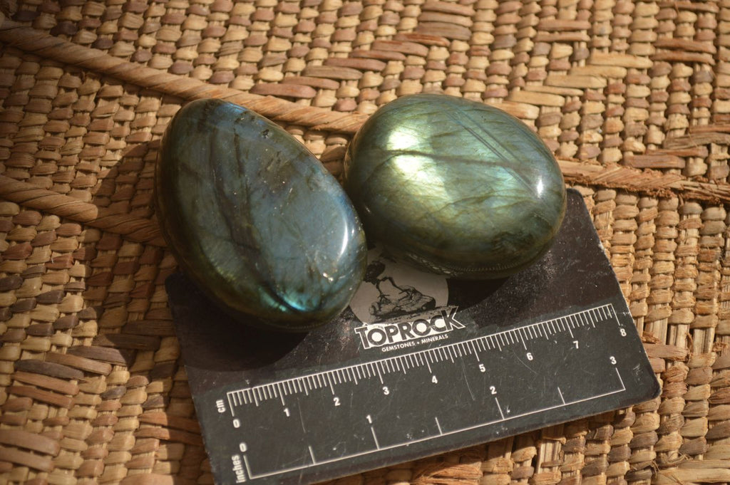 Polished  Flashy Labradorite Palm Stones  x 12 From Madagascar - Toprock Gemstones and Minerals 
