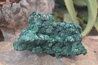 Natural Silky Malachite Specimen  x 1 From Kasompe, Congo - Toprock Gemstones and Minerals 
