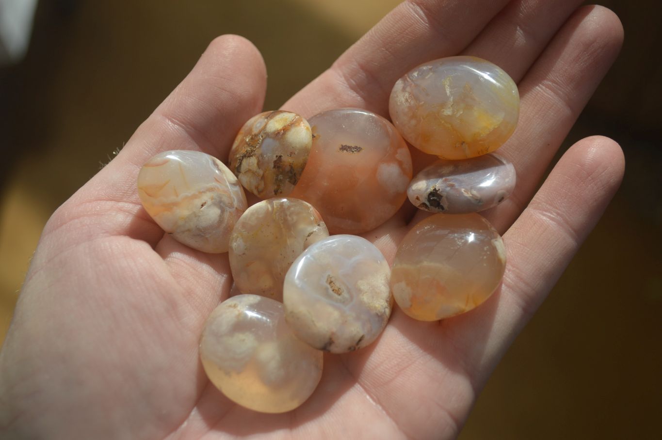 Polished Mini Ocean  Flower Agate Palm Stones  x 70 From Madagascar - Toprock Gemstones and Minerals 