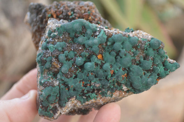 Natural Rare Ball Malachite On Drusy Quartz & Dolomite Specimens x 2 From Kambove, Congo - Toprock Gemstones and Minerals 
