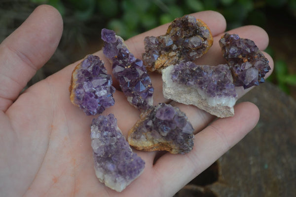 Natural Mini Dark Purple Amethyst Specimens  x 70 From Zambia - Toprock Gemstones and Minerals 