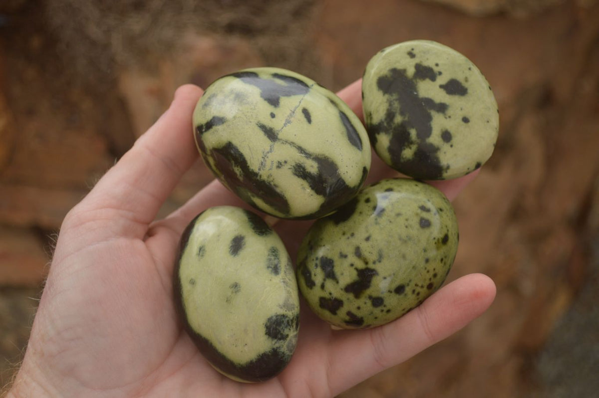 Polished Spotted Leopard Stone Gallets  x 12 From Zimbabwe - Toprock Gemstones and Minerals 