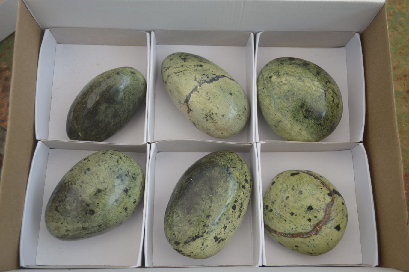 Polished Leopard Stone Gallets  x 6 From Nyanga & Shamva, Zimbabwe - Toprock Gemstones and Minerals 
