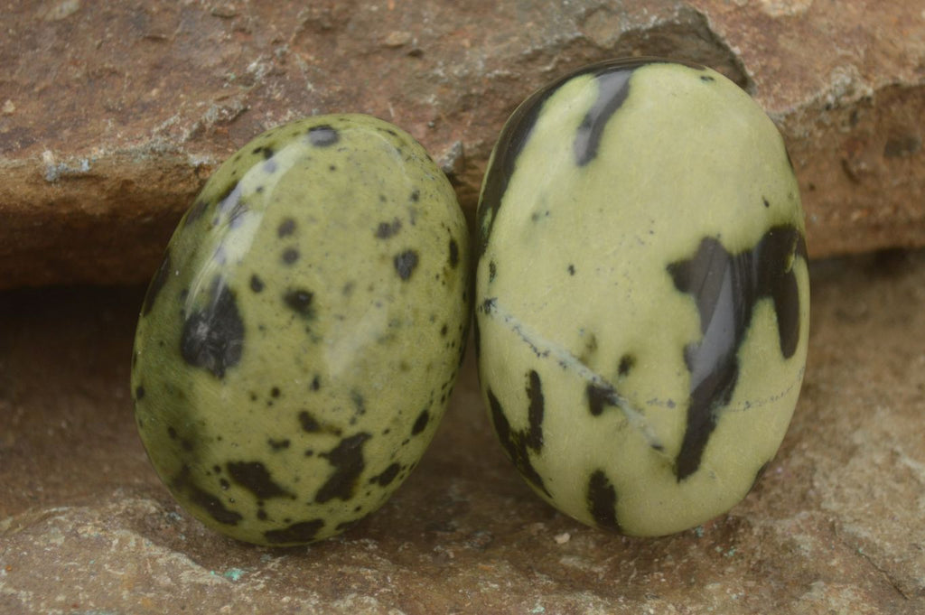 Polished Spotted Leopard Stone Gallets  x 12 From Zimbabwe - Toprock Gemstones and Minerals 