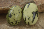 Polished Spotted Leopard Stone Gallets  x 12 From Zimbabwe - Toprock Gemstones and Minerals 