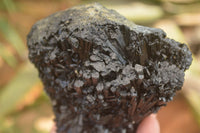 Natural Schorl Black Tourmaline Specimens x 2 From Erongo, Namibia