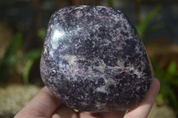 Polished Purple Lepidolite Free Forms  x 3 From Zimbabwe - Toprock Gemstones and Minerals 