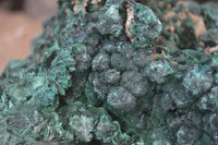 Natural Silky Malachite Specimen  x 1 From Kasompe, Congo - Toprock Gemstones and Minerals 
