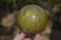 Polished Green Opal Spheres  x 2 From Antsirabe, Madagascar - Toprock Gemstones and Minerals 
