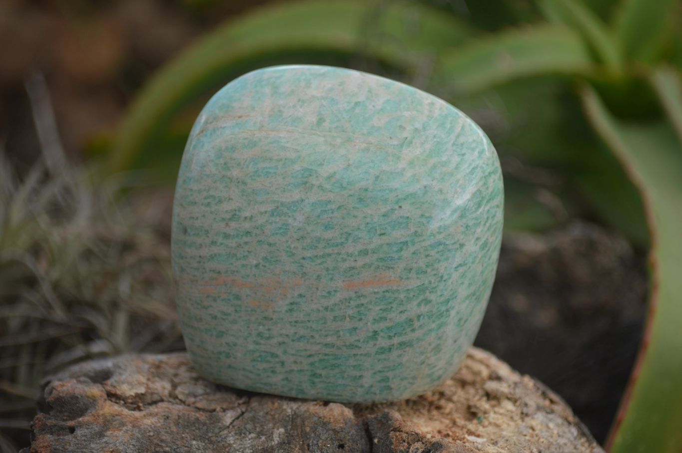 Polished Kobi Amazonite Free Forms  x 12 From Zimbabwe - TopRock