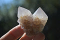Natural Mixed Spirit Quartz Crystals  x 35 From Boekenhouthoek, South Africa - Toprock Gemstones and Minerals 