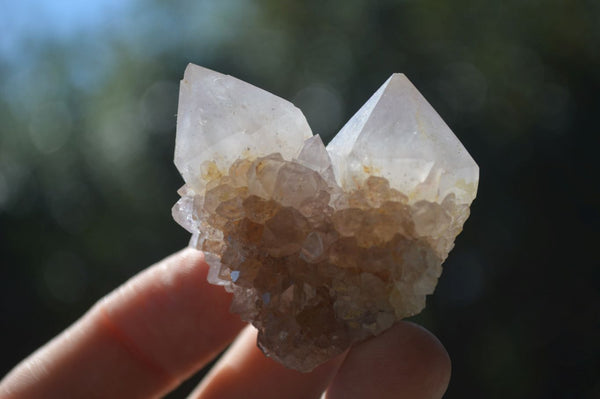 Natural Mixed Spirit Quartz Crystals  x 35 From Boekenhouthoek, South Africa