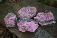 Natural Large Pink Salrose Cobaltion Dolomite Specimens  x 4 From Kakanda, Congo - Toprock Gemstones and Minerals 