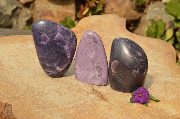 Polished Deep Dark and Light Purple Lepidolite Mica Free Forms  x 3 From Zimbabwe - TopRock
