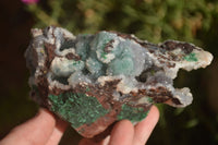 Natural Drusy Coated Ball Malachite On Dolomite Matrix Specimens  x 2 From Likasi, Congo - Toprock Gemstones and Minerals 