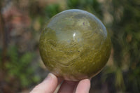 Polished Green Opal Spheres  x 2 From Antsirabe, Madagascar - Toprock Gemstones and Minerals 