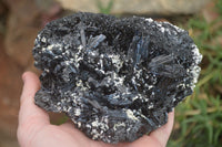Natural Schorl Black Tourmaline Specimens x 2 From Erongo, Namibia