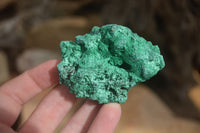 Natural Chatoyant Silky Malachite Specimens  x 7 From Kasompe, Congo - Toprock Gemstones and Minerals 