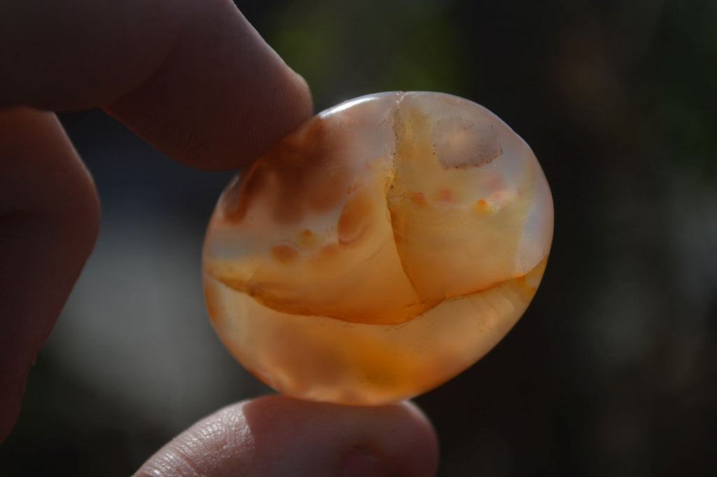 Polished Mini Ocean  Flower Agate Palm Stones  x 70 From Madagascar - Toprock Gemstones and Minerals 