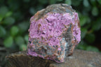 Natural Large Pink Salrose Cobaltion Dolomite Specimens  x 4 From Kakanda, Congo - Toprock Gemstones and Minerals 