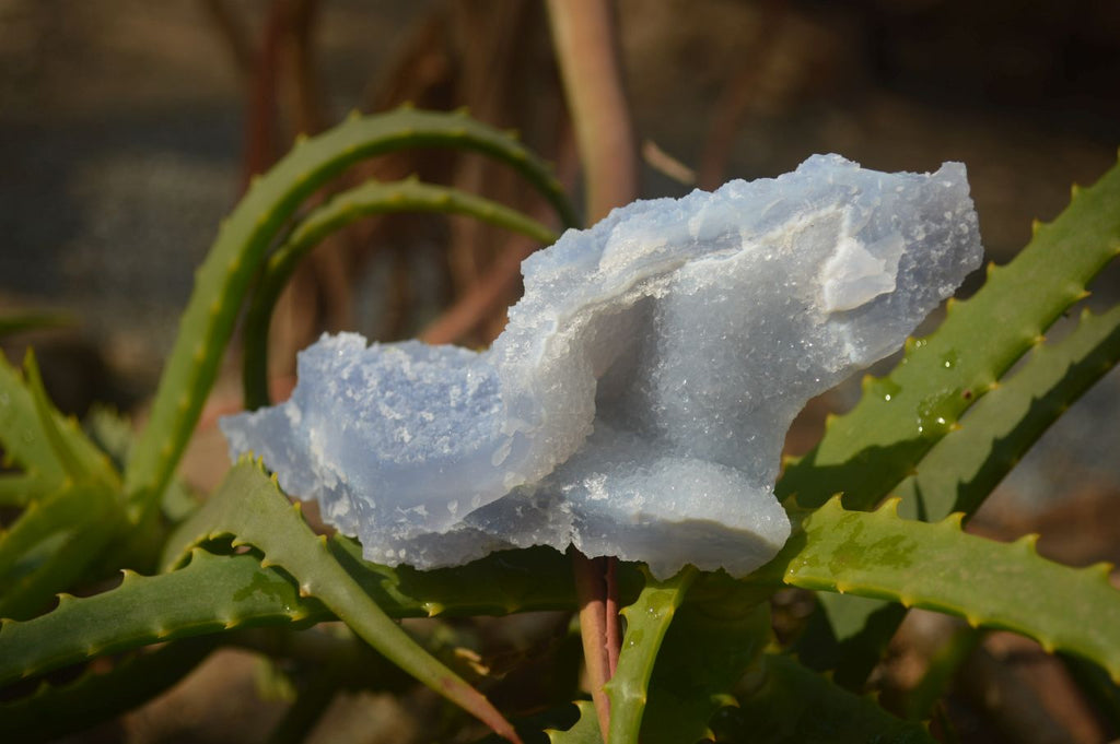 Natural Etched Blue Chalcedony Specimens  x 3 From Nsanje, Malawi - Toprock Gemstones and Minerals 