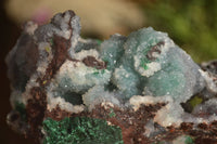 Natural Drusy Coated Ball Malachite On Dolomite Matrix Specimens  x 2 From Likasi, Congo - Toprock Gemstones and Minerals 