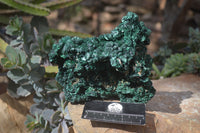 Natural Silky Malachite Specimen  x 1 From Kasompe, Congo - Toprock Gemstones and Minerals 