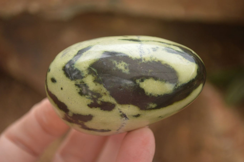 Polished Spotted Leopard Stone Gallets  x 12 From Zimbabwe - Toprock Gemstones and Minerals 