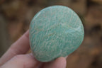 Polished Kobi Amazonite Free Forms  x 12 From Zimbabwe - TopRock