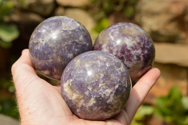 Polished Purple Lepidolite Mica Spheres  x 6 From Madagascar - TopRock