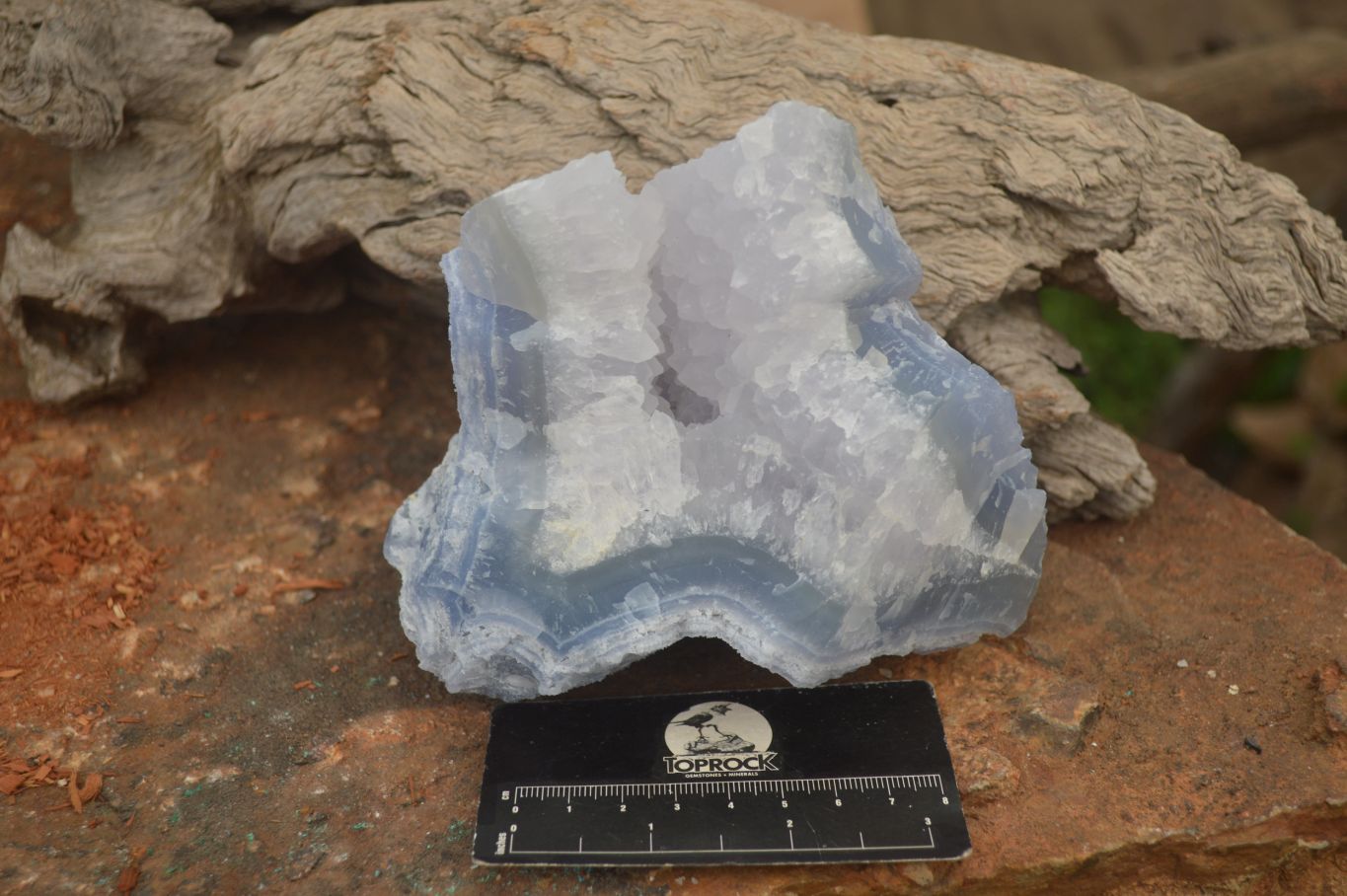 Natural Etched Blue Chalcedony Specimens  x 3 From Nsanje, Malawi - Toprock Gemstones and Minerals 