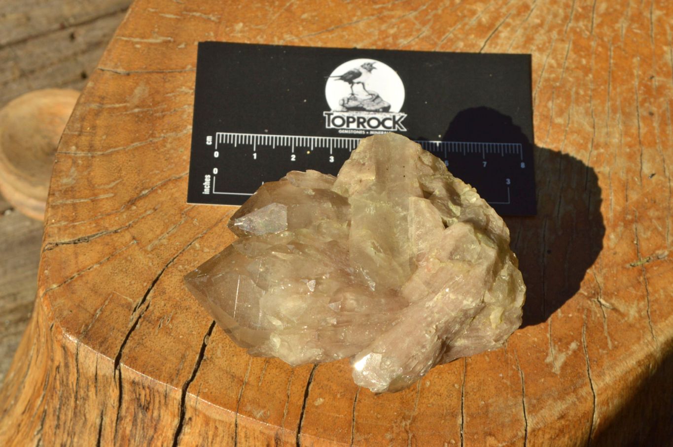 Natural Mixed Selection Of Minerals x 5 From Southern Africa - TopRock