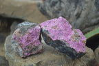 Natural Large Pink Salrose Cobaltion Dolomite Specimens  x 4 From Kakanda, Congo - Toprock Gemstones and Minerals 