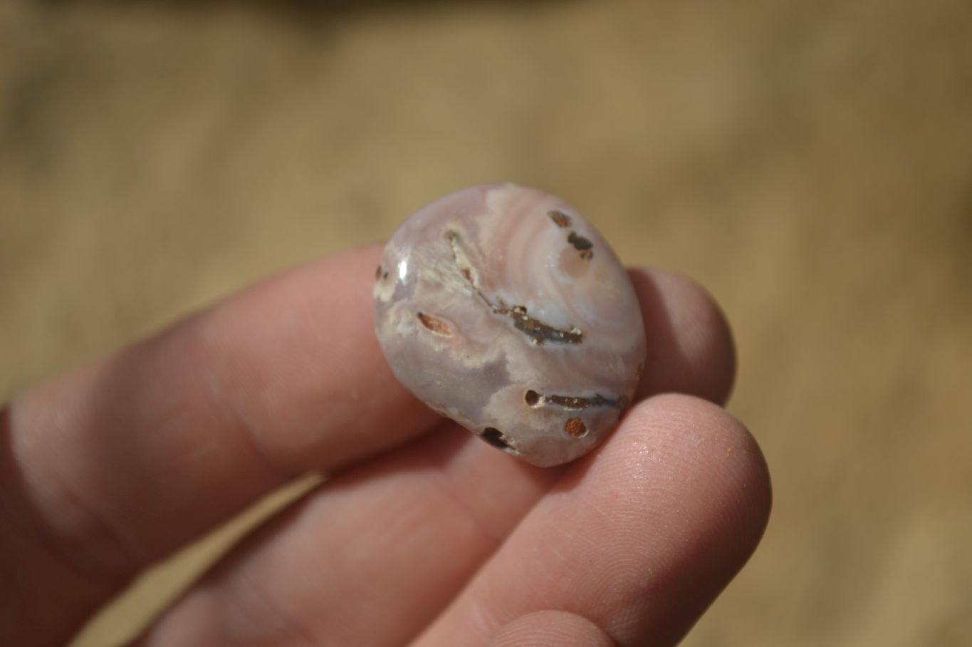Polished Mini Ocean  Flower Agate Palm Stones  x 70 From Madagascar - Toprock Gemstones and Minerals 