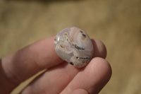 Polished Mini Ocean  Flower Agate Palm Stones  x 70 From Madagascar - Toprock Gemstones and Minerals 