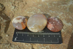 Polished Mini Ocean  Flower Agate Palm Stones  x 70 From Madagascar - Toprock Gemstones and Minerals 