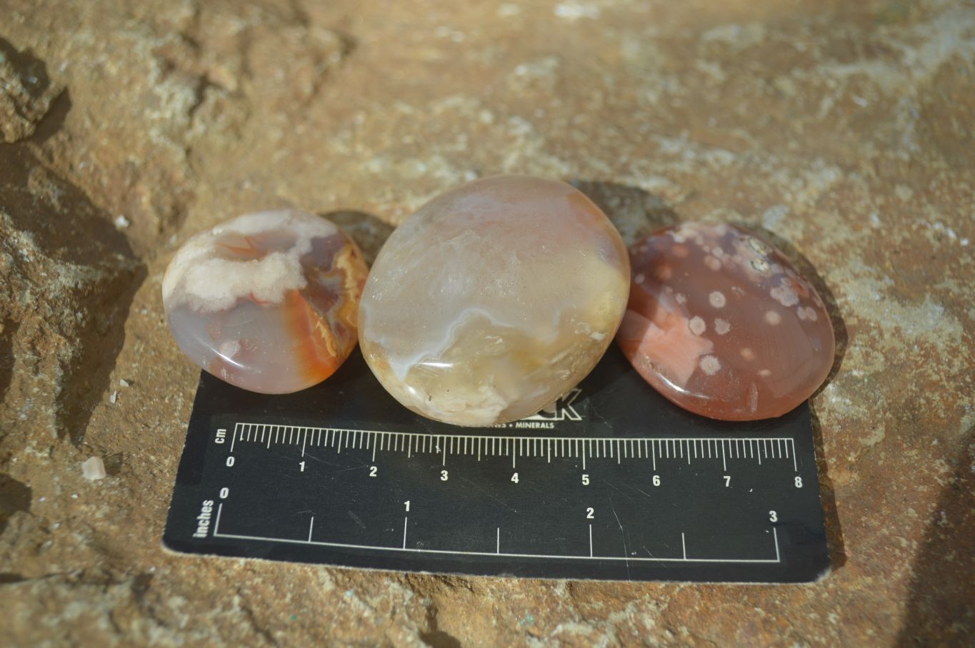 Polished Mini Ocean  Flower Agate Palm Stones  x 70 From Madagascar - Toprock Gemstones and Minerals 