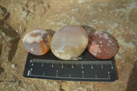Polished Mini Ocean  Flower Agate Palm Stones  x 70 From Madagascar - Toprock Gemstones and Minerals 